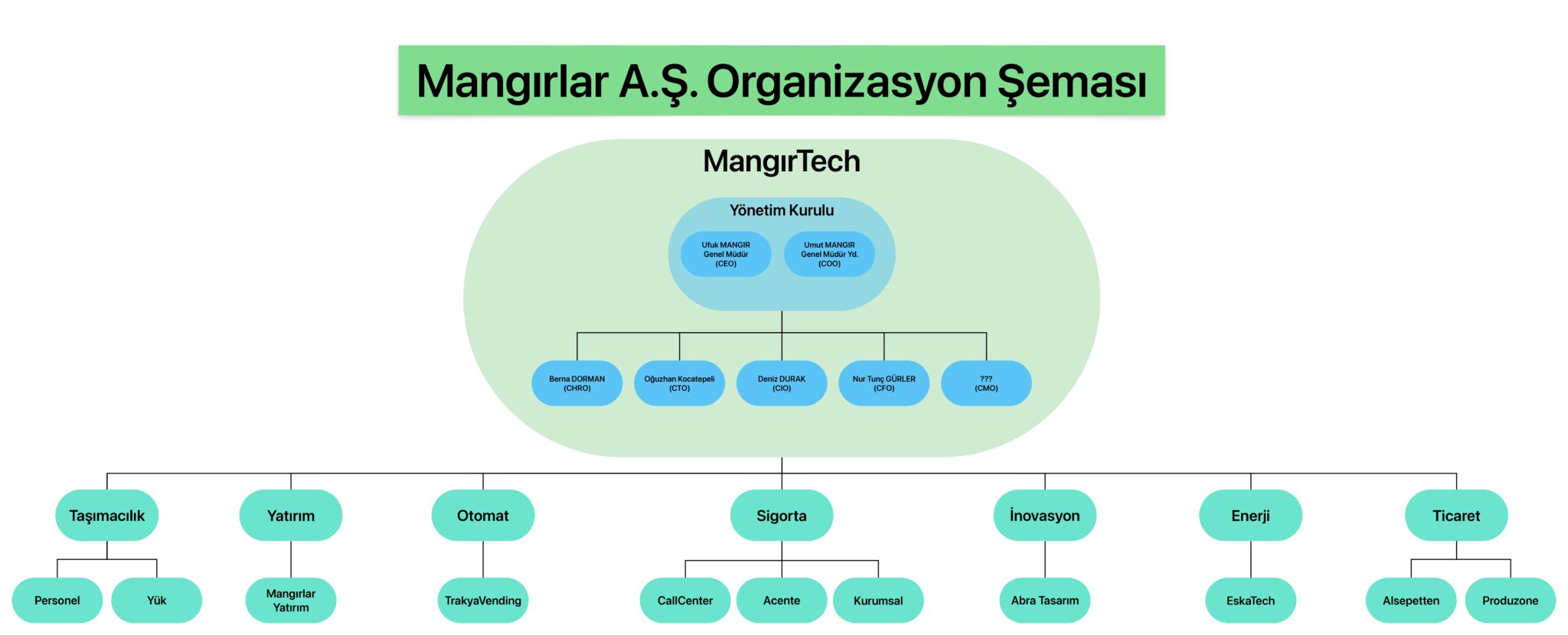 Mangırlar A.Ş. Organizasyon Şeması
